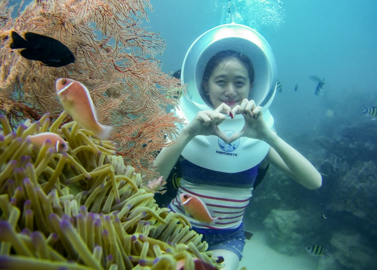 Stunning underwater landscapes in Phu Quoc island