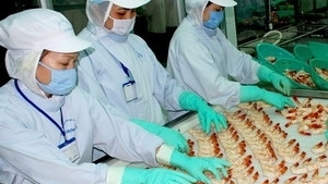 Shrimp exports to reach US$2.6 bln in 2013