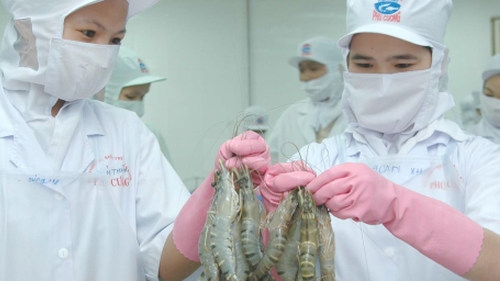 Shrimp, prawn demand lifts seafood exports