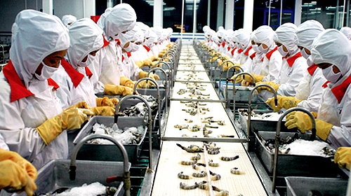 No subsidy for Vietnam’s shrimp producers: VASEP