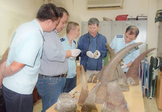 Vietnam seizes 13 rhino horns shipped from South Africa