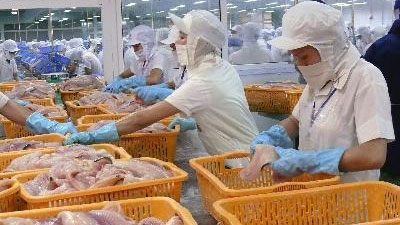 HSBC: Vietnam manufacturing PMI peaks for eight months