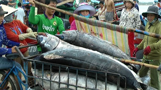 Export target tough task for tuna industry