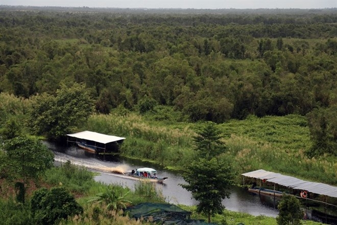 Vietnam’s wetlands under threat