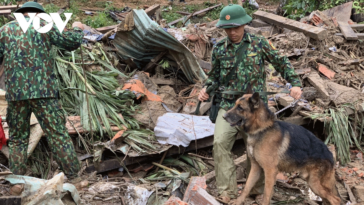 Sniffer dogs join search operation at landslide site
