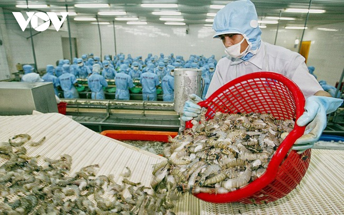 Vietnam leads the way in shrimp exports to Canada