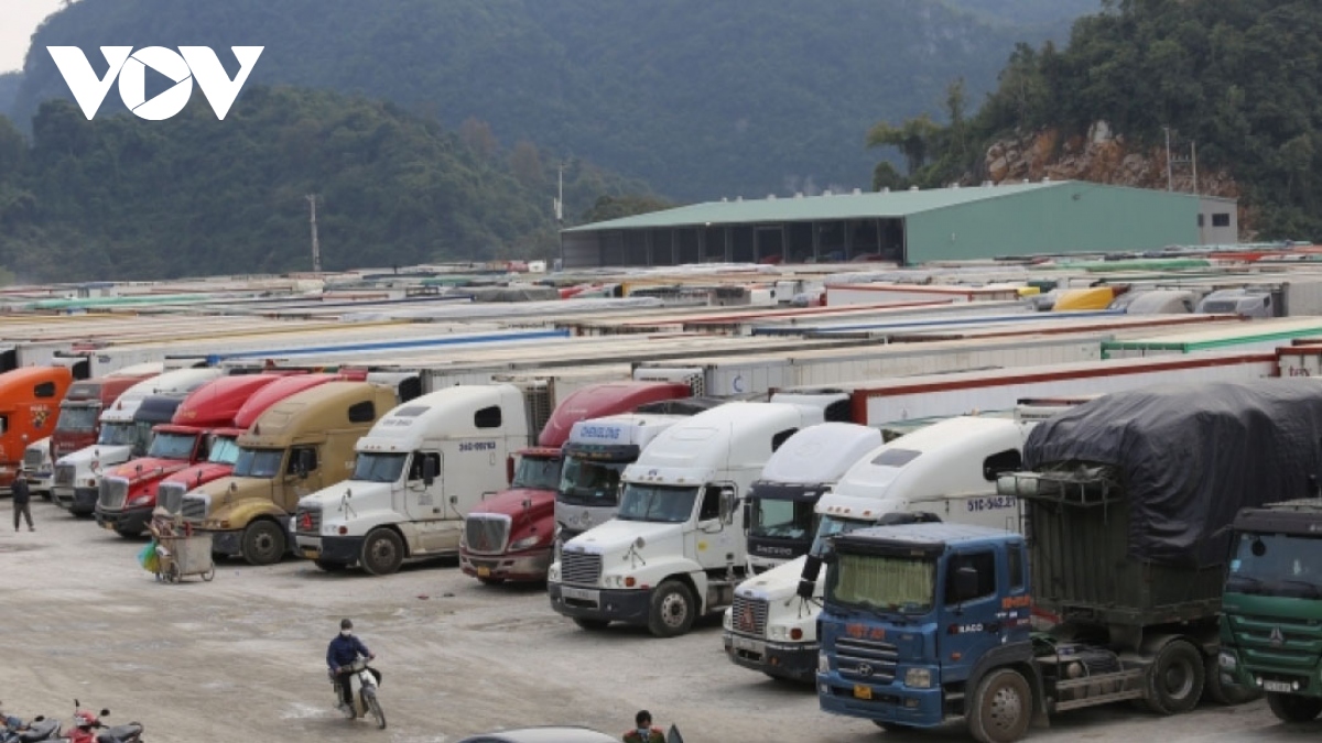 Thousands of container trucks stranded at northern border gates, lessons drawn
