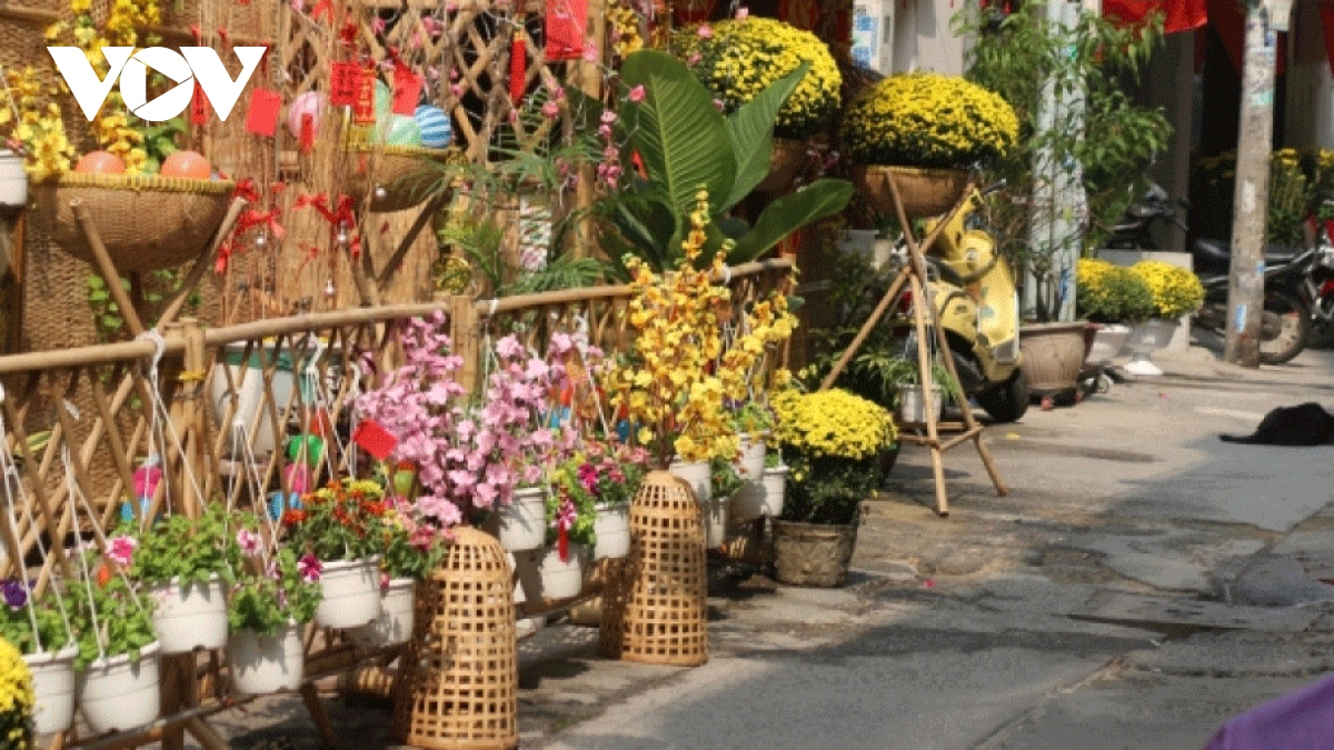 Tet decorations spring up in every HCM City corner