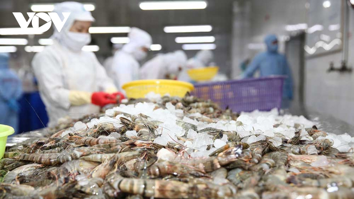 Shrimp exports set to hit over US$4 billion this year