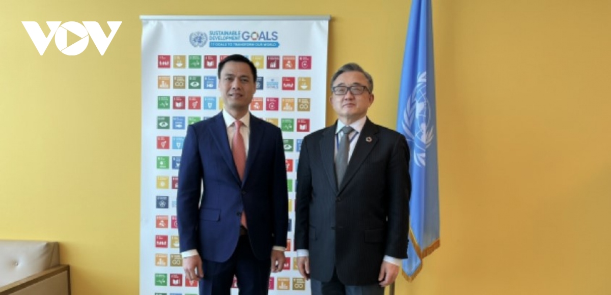 Vietnam ready to make substantive contributions to UN development forums