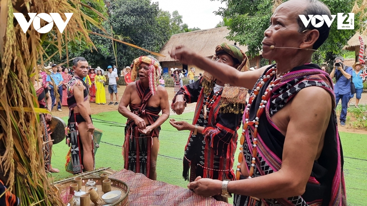 Co Tu ethnic people celebrate new rice festival