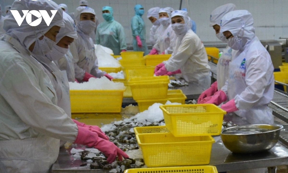 Shrimp exports to US, China endures double-digit decrease in July