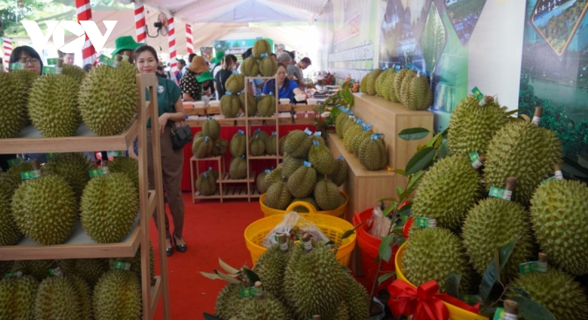 Durian exports witness steep rise over five-month period
