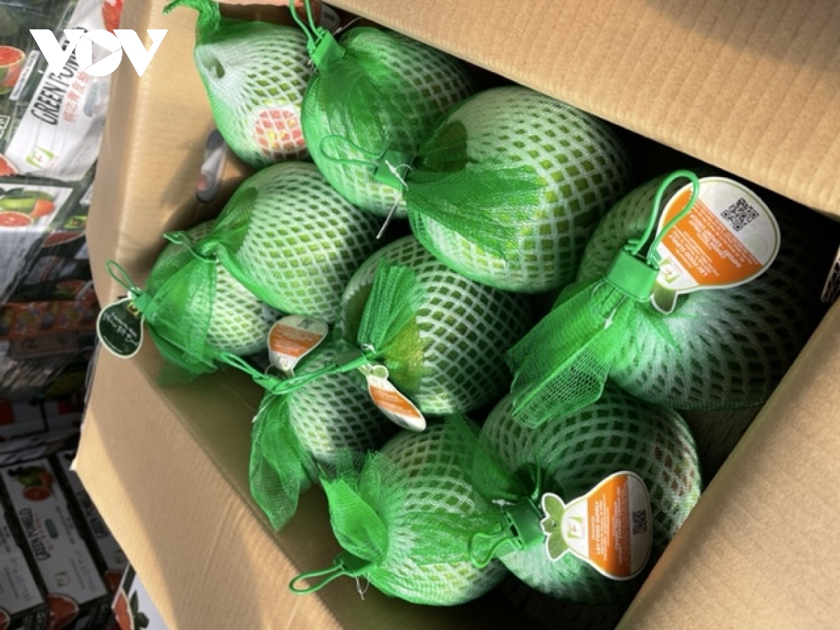 Vietnamese grapefruit exports skyrocket