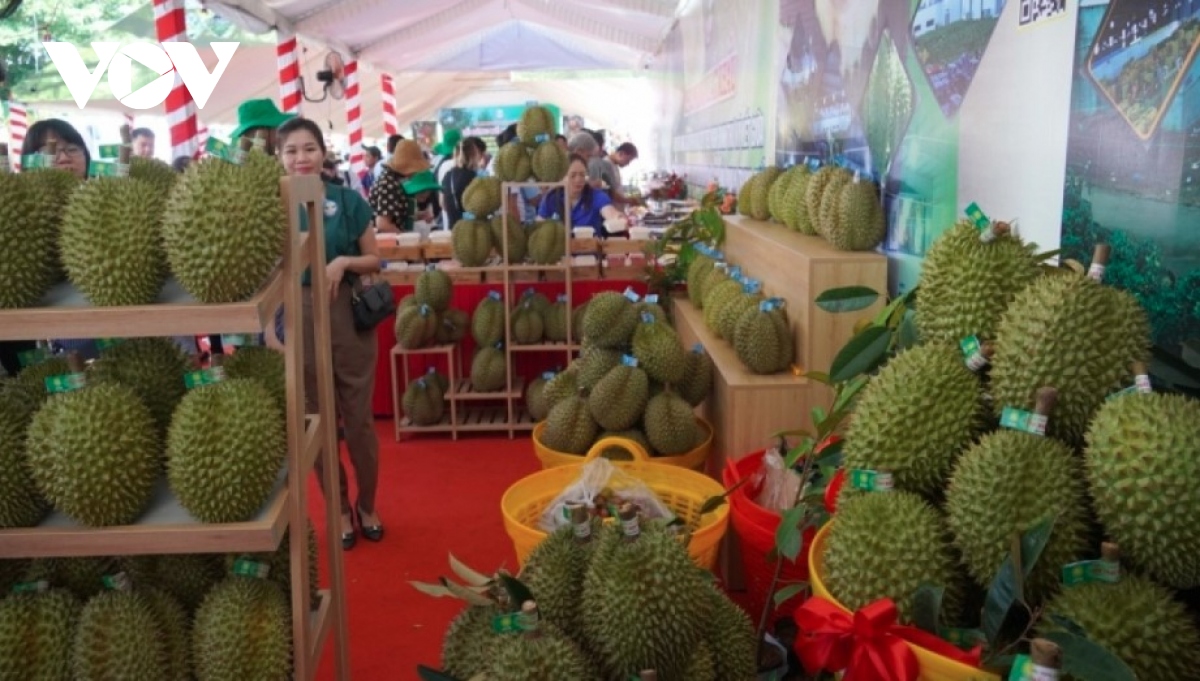 Fruit and vegetable exports gross nearly US$5.6 billion this year